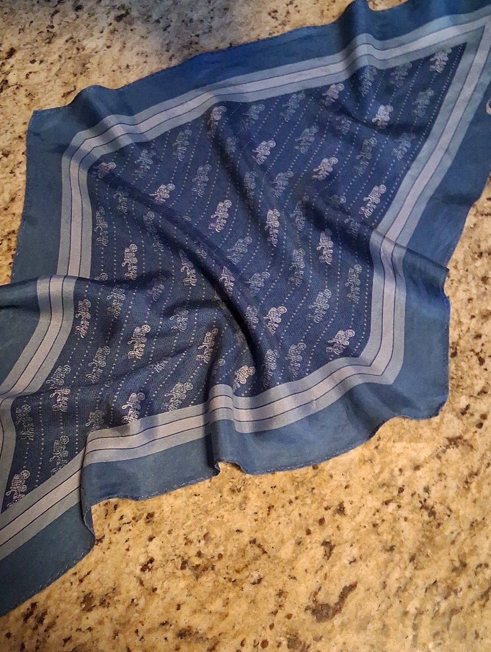 Silk Coach Blue Paisley Cotton Bandana Scarf